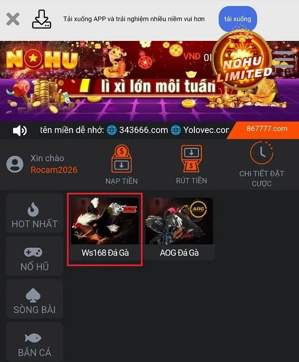Giới thiệu cơ bản về sảnh cược Đá gà WS168 Nohu hiện nay