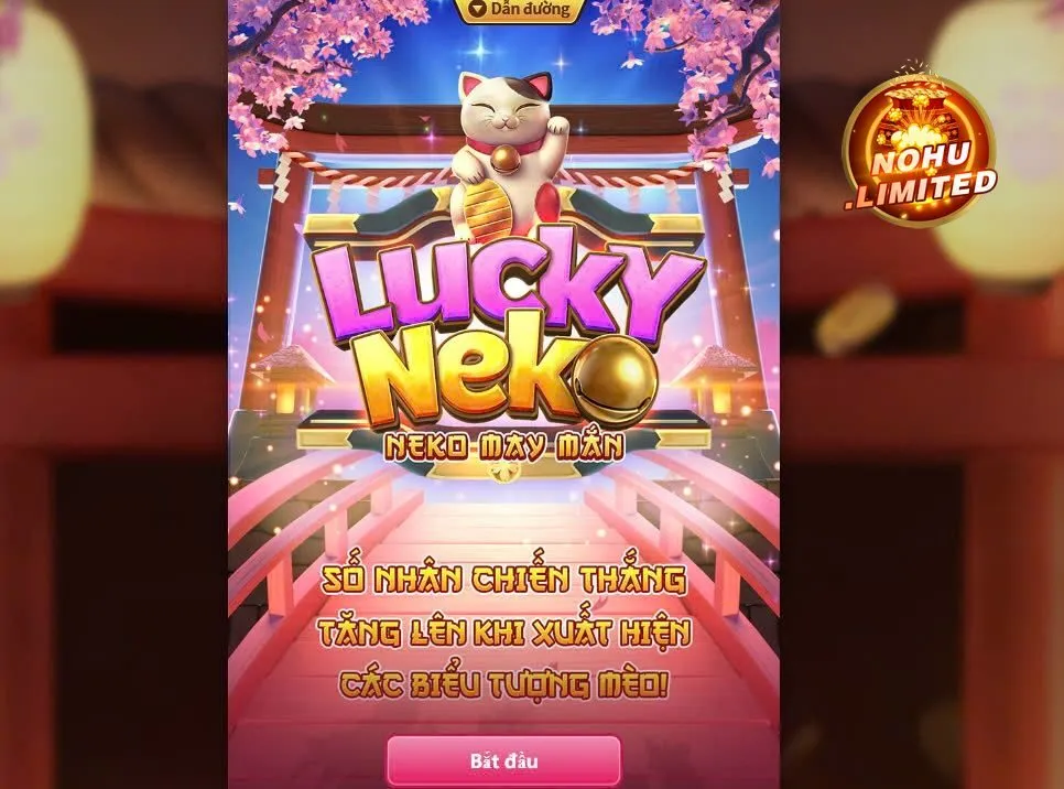Chi tiết cách chơi Neko May Mắn Nohu