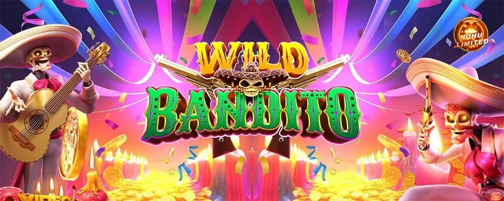 Thông tin tổng quan về Wild Đạo Tặc Nohu
